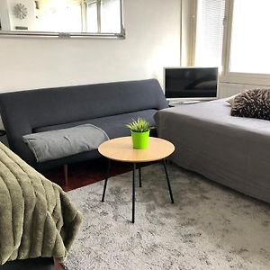 Sweethome Studio 48 City Center Аlbertinkatu
